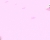 81f2ed607eb984c7039cf21d72b468b4