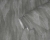 cd905ee6d26e7e49fbab5ba0e7c467b0