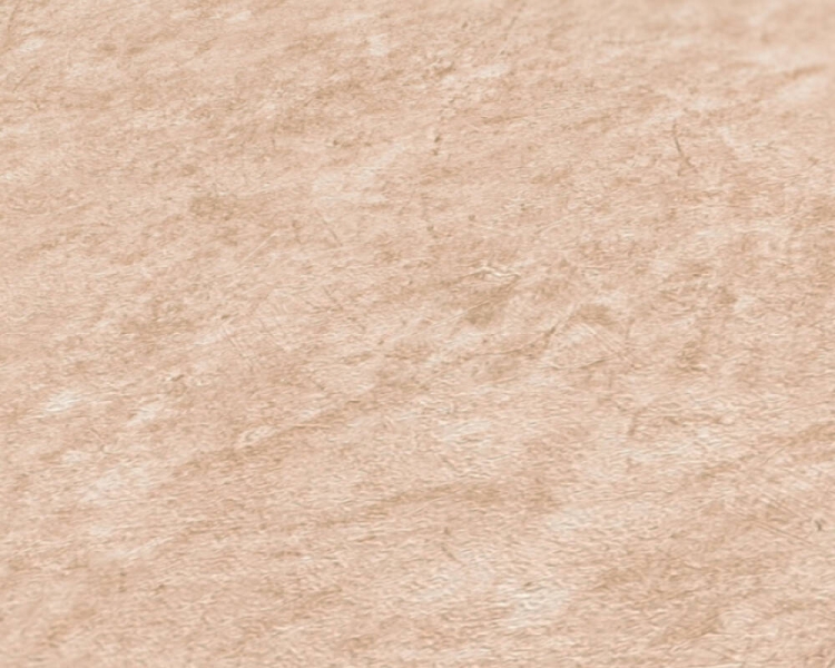 2c5a70ca8414aa46849729ce4288030e