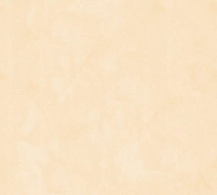 868d1a7df2fcee0e06e28e63cbb01b90