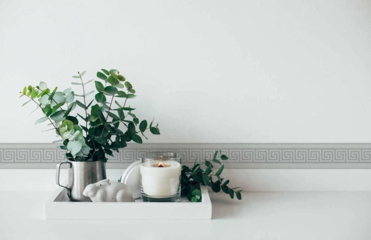 5f6ff600b4a69643cd86d696b6816f5c