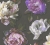 fb9cf032a6bd6fe5774a00c5562961d6