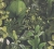 943d436816bdde09c67cdb210069853a