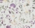 dada60a8842fadc808ca4f851fad7bb1