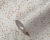 a5aea459ba067d44024bad89ec78dc60