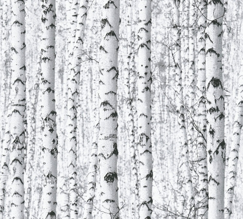 3ac440eb8dabce42989d78d0afa6bb31