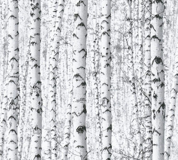 3ac440eb8dabce42989d78d0afa6bb31