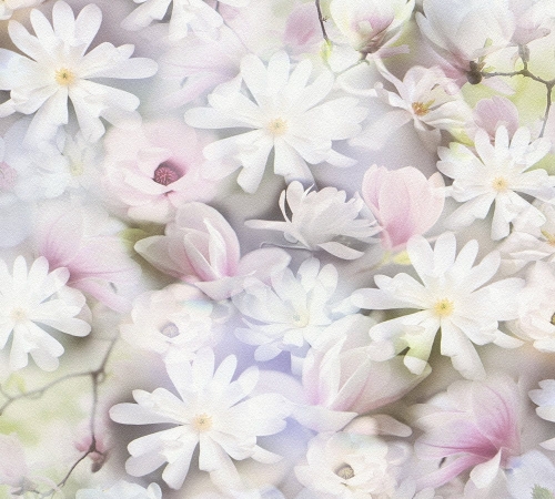 7698090eb8f93dae001dd0342cca7779