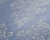 d1b4dc86704a44a94839f2b52b1ded2e