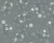 f9eb86ac370c55966547aef5959c21d8