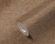 a655d3be528fbacd250aad3732db6703