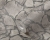 512431bcc4c6c4a7ada98a156bc95c0d