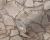 506f293754804f72629b9723dd101183