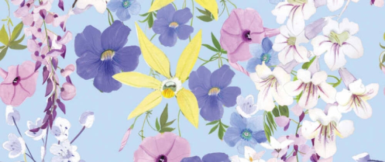 0be9836070aabed18866a950d49aa6dc