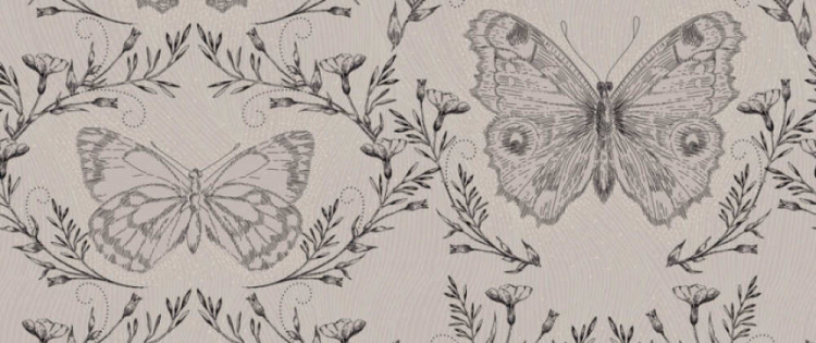 49c86a6eee7d5c959d4188e6706d7fe6