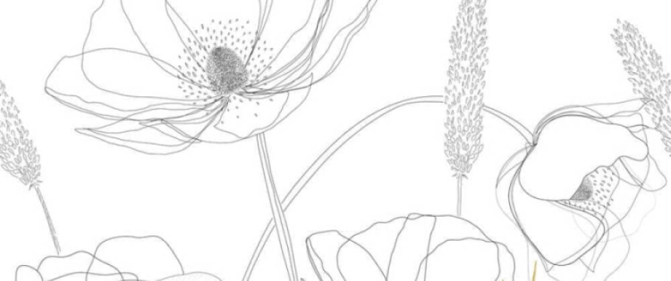 94e13ee534134b906fcd08d30dec4793