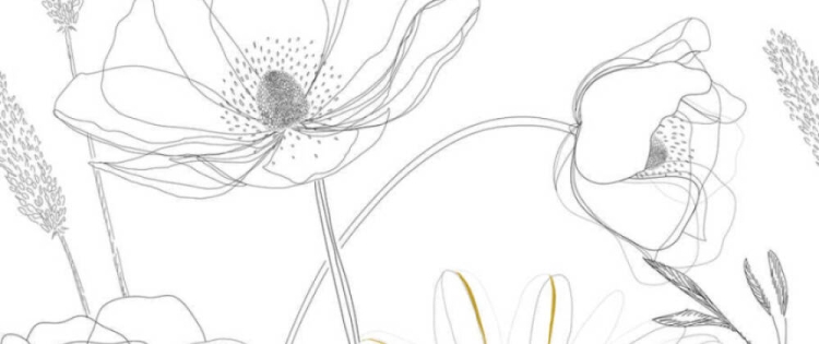 87e4cf2b1b7d54dbeafba2adeb933c6e