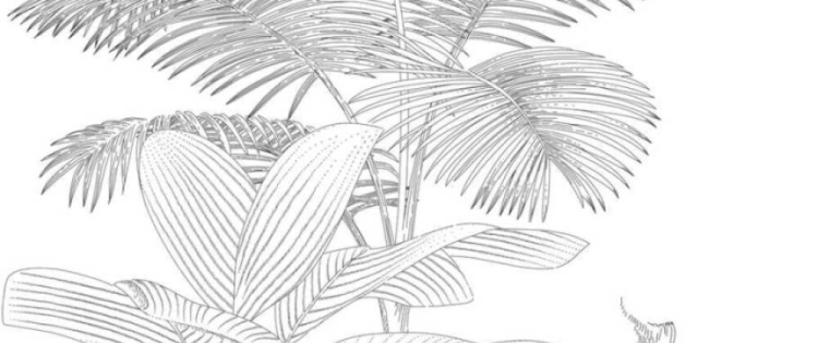 a4c57b608a24099413b42b1e720cec2d