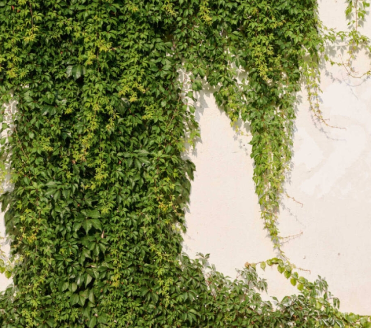 cf6c92a0e5fd418673821daabe649e5e