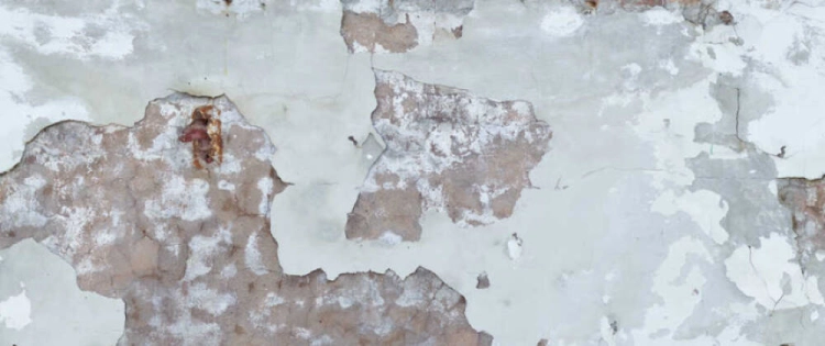 1ee74a5c491293aa857befa0152a54e9