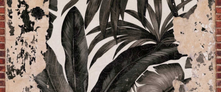 f46fa2fb8e2fc37df7b593f2f3c8549b