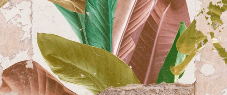 28cb826e1245e564f1250720f696e635