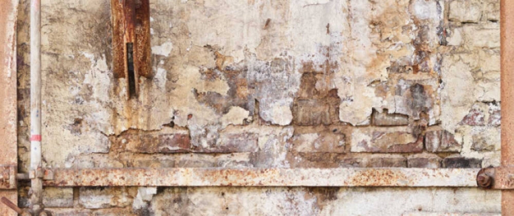 d6e4cd5349b90942886146747921a4fd