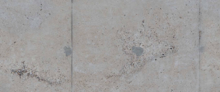 22da7f7c4d86f68bb9599ef9121258e9