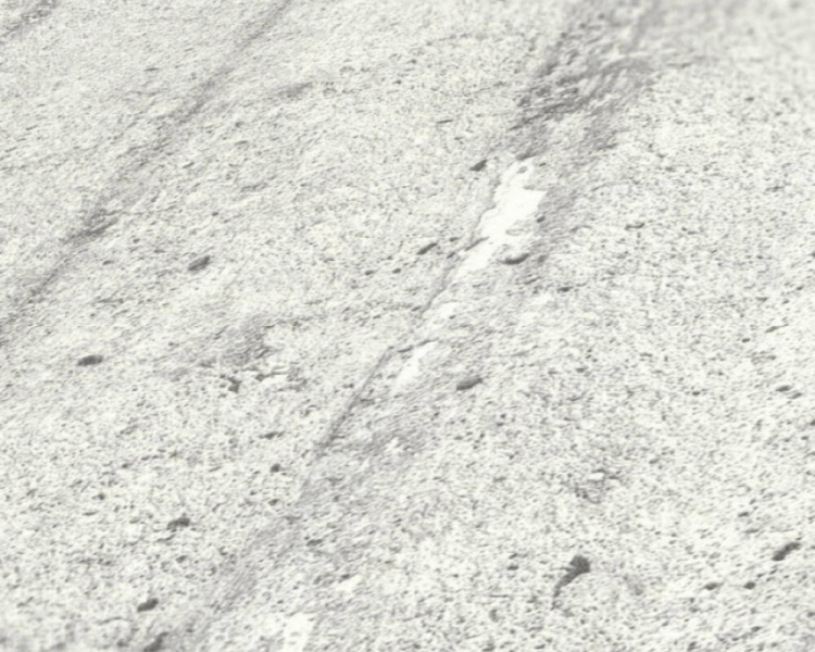 55c0fb521d82491cf35d50841824762a