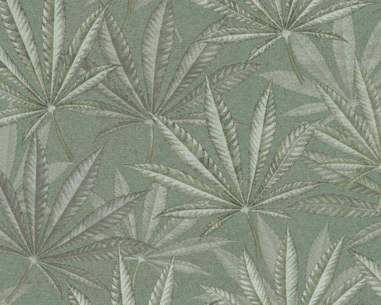 Michalsky 5 39984-1 Tapeta ścienna AS Liście palmy zielone