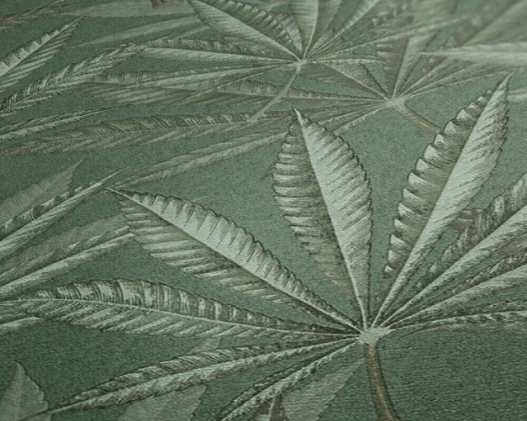 Michalsky 5 39984-1 Tapeta ścienna AS Liście palmy zielone