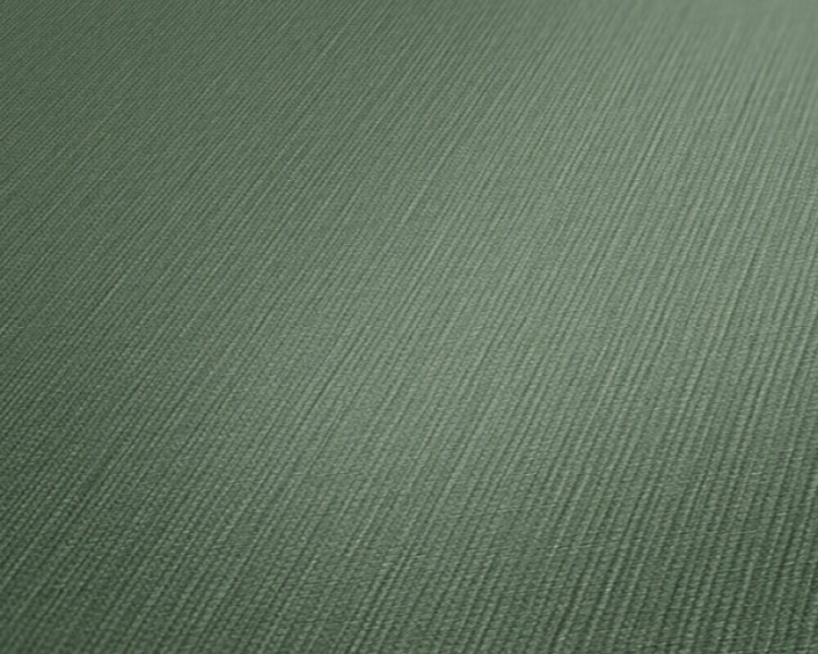 Michalsky 5 39987-4 Tapeta ścienna AS worek zielony