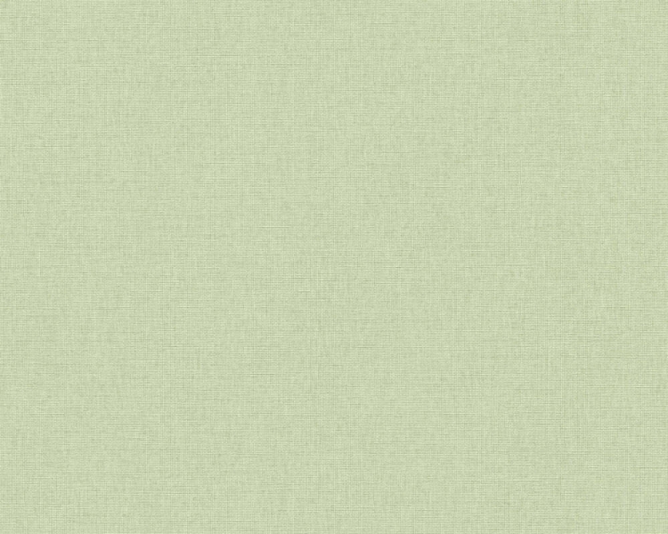 Michalsky 5 39988-6 Tapeta ścienna AS zielony worek jednokolorowa tło