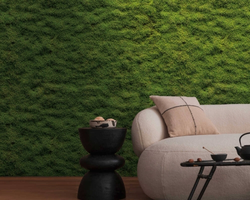 6dc48890cc5b225a98f39431f2340363