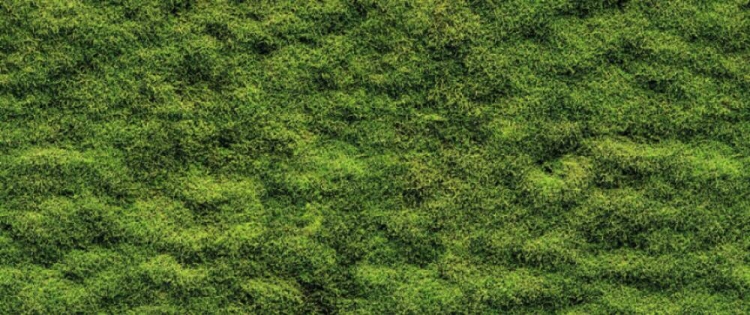 e670559d7454ad02f5d0fbe040b96132