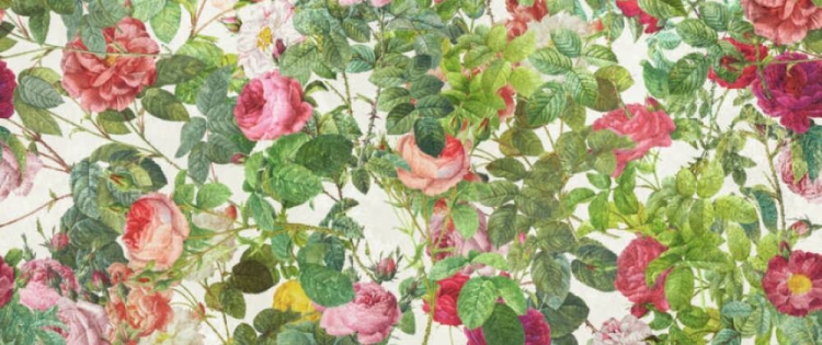 adbfe1c06df99d63b2bb20d4865df8a5