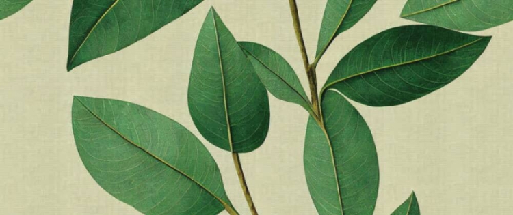 c33c1e7badf87fd72b4ca88733e1ac44