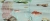 6df0560327ce40c6f3a4bcf57ec62854