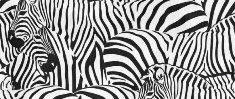 7c099fab933e96f40926761cbca63d6f