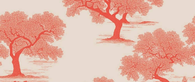 0c260c81c243a28d8c367d5a0d393998