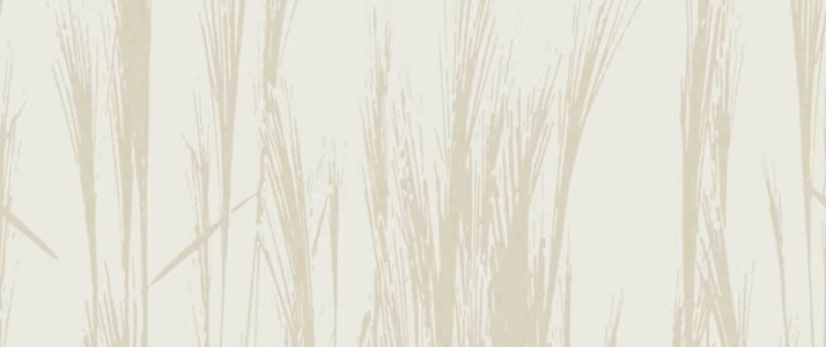 6c129d7a6d05645346692faebe66d8f8