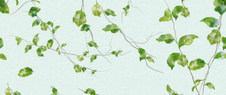 e787639694be9f325d78859283ad64b2