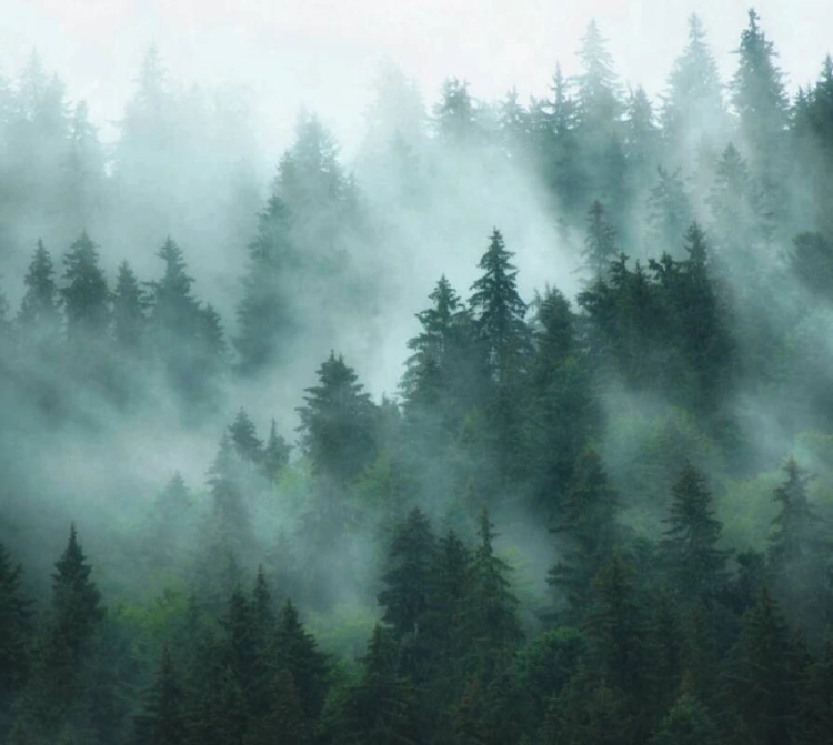 f9cbd4670aa05071d84ba9ea45788aa6