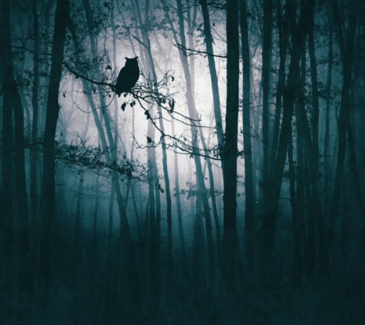 e41a487a5e45c87405104b56b64768e4