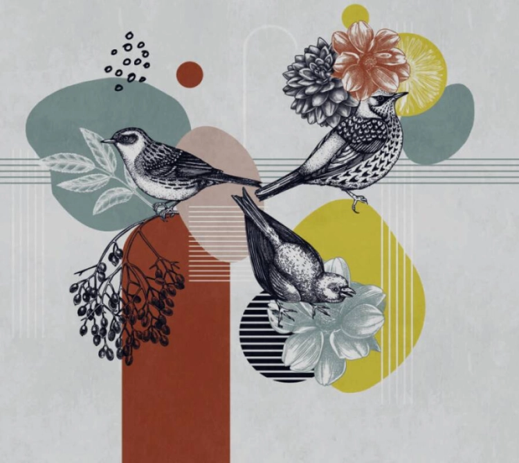 5a545325b6604b572d376b2aa94ab3a3