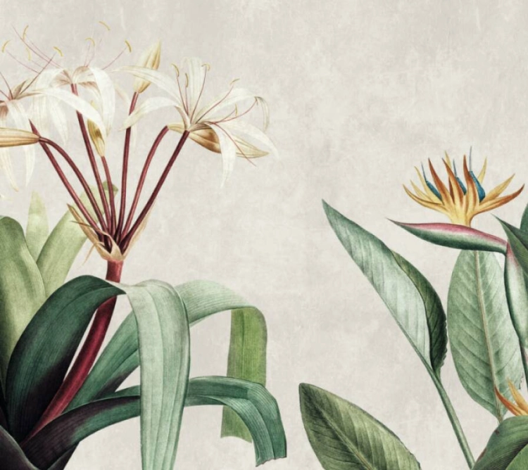 248c31786e35f0044c75dbd0203be32a