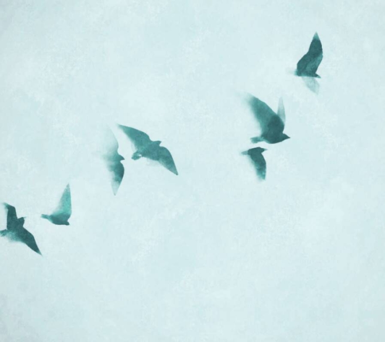 The Wall 3 39923-1 Tapeta ścienna AS Odlatujące ptaki turkus