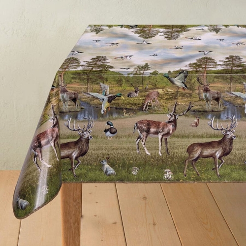 Cerata 170A Dekorama.jpg