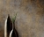 10438-38_room02.jpg