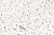 Okleina-Meblowa-200--8347-Terazzo-Neo-szer-67,5-cm (1).jpg